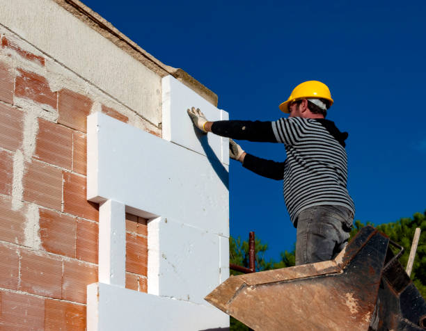 Best Insulation Maintenance and Repair in Indian Head, MD