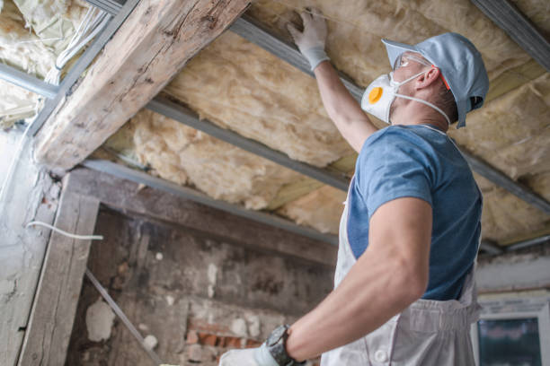 Best Residential Insulation in Indian Head, MD